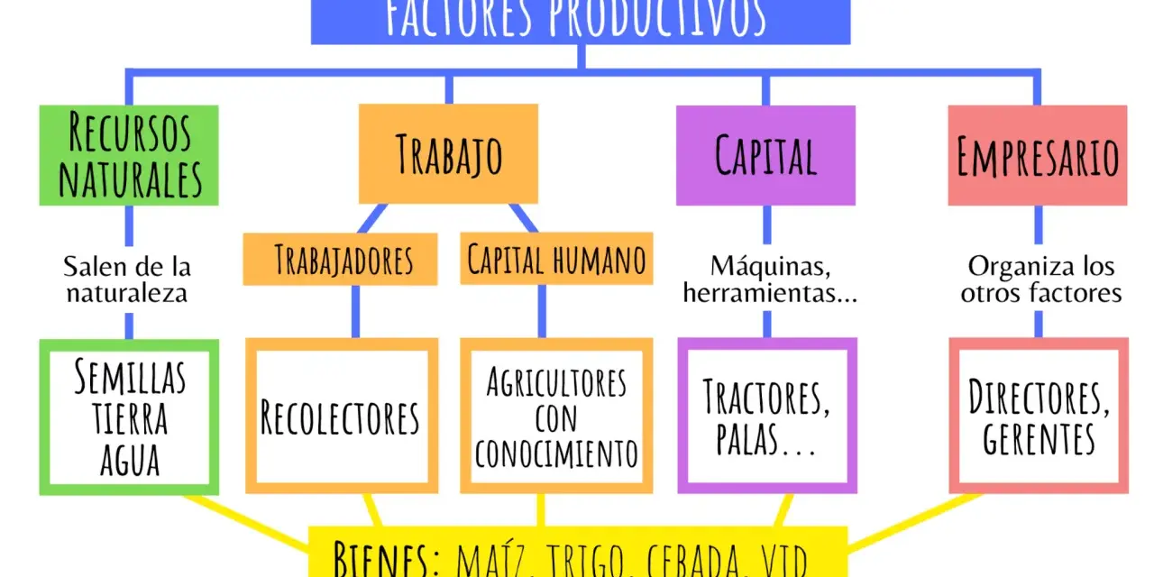 Diagrama de los factores productivos de una empresa: recursos naturales, trabajo, capital y empresario, que generan bienes como maíz y trigo.
