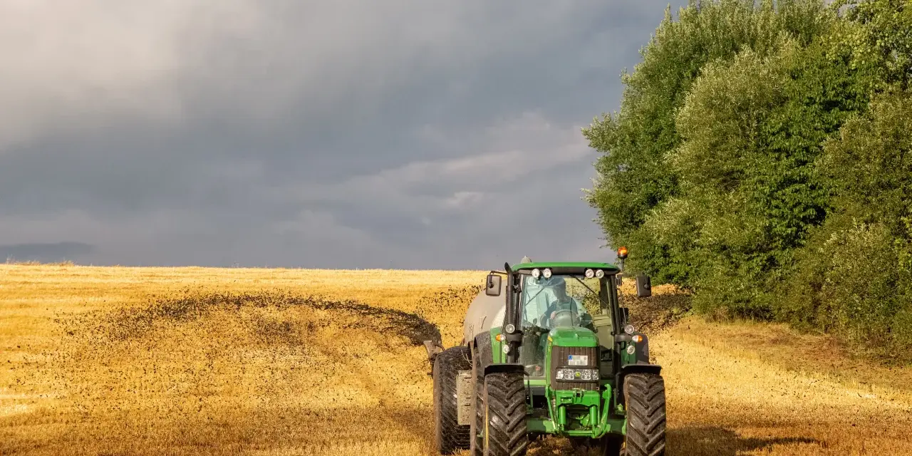 Biologiczne nawożenie pól: jak naturalnie poprawić żyzność roli?