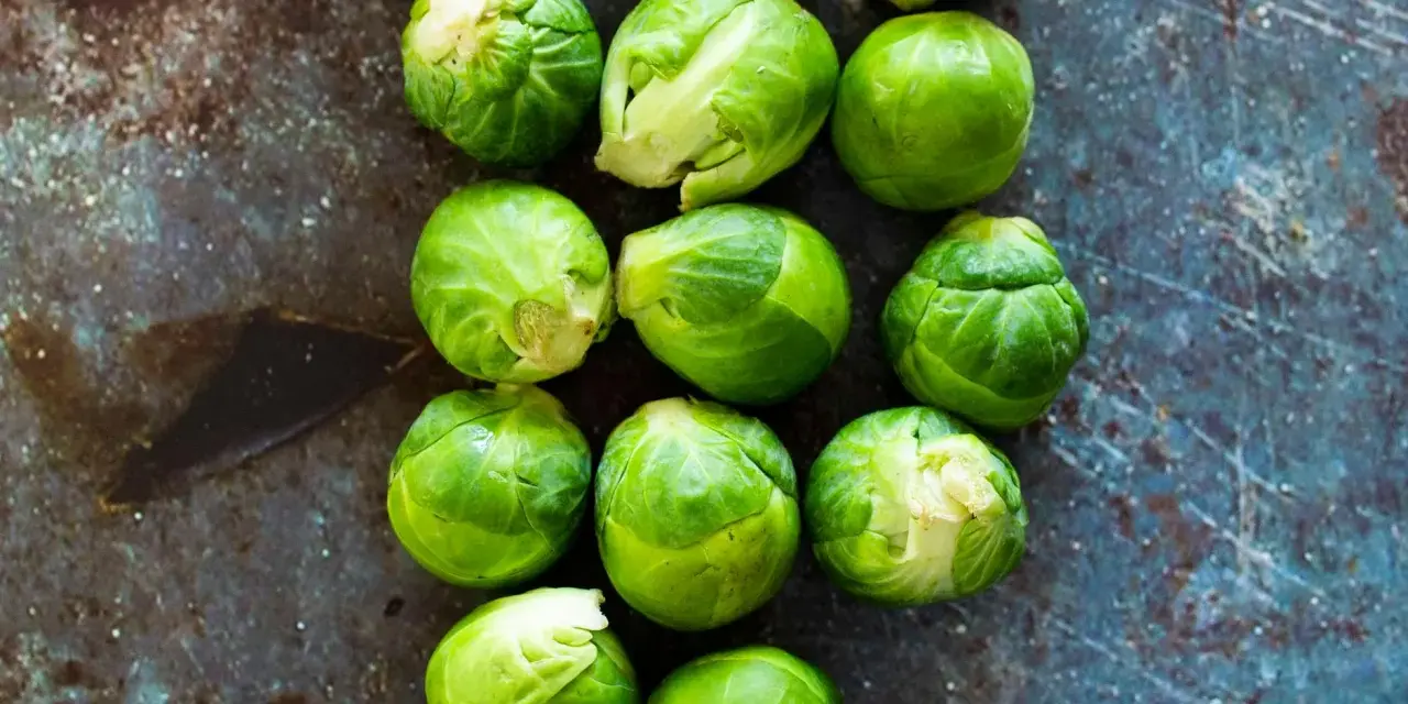 Frischer Rosenkohl liegt auf dunklem Untergrund. So lagern Sie Rosenkohl richtig für maximale Frische.