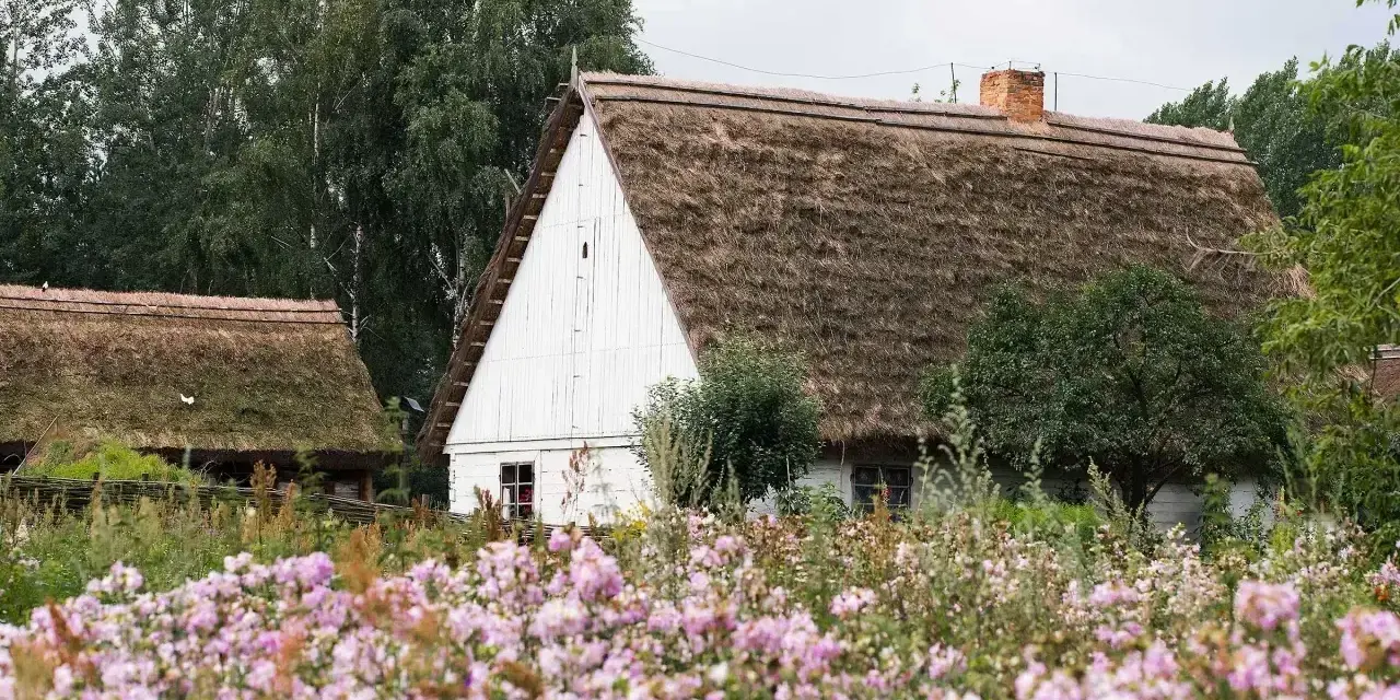 Skansen kujawsko pomorski: białe chaty z krytymi strzechą dachami, otoczone kwitnącym ogrodem.