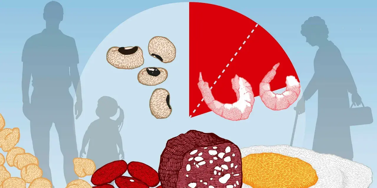 Olika livsmedel som bönor, räkor, kött och ägg illustrerar det rekommenderade proteinintaget för olika åldrar, från barn till äldre.