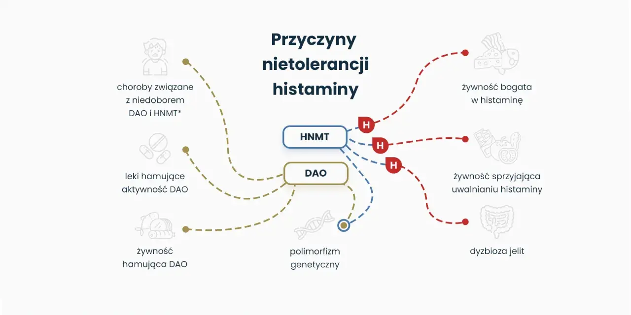 Schemat wyjaśnia, co to jest histamina i jej nietolerancja, wskazując na przyczyny: niedobór DAO/HNMT, leki, polimorfizm genetyczny, żywność bogatą w histaminę, uwalniającą histaminę, oraz dysbiozę jelit.