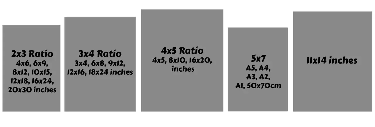 Guía de medidas de lienzos: 2x3, 3x4, 4x5, 5x7 y 11x14 pulgadas, además de tamaños A y cm.