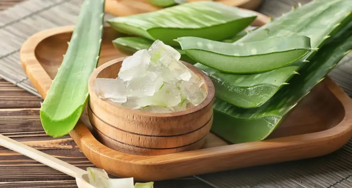 Aloe vera fresco en trozos, ideal para aliviar el picor en el cuero cabelludo. Remedios caseros naturales.