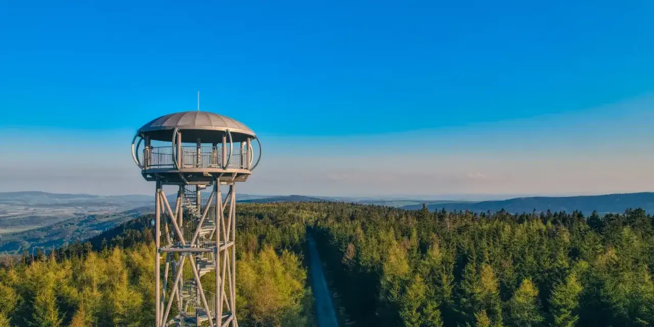 Metalowa jagodna wieża widokowa wznosi się nad gęstym lasem iglastym, oferując zapierającą dech w piersiach panoramę.