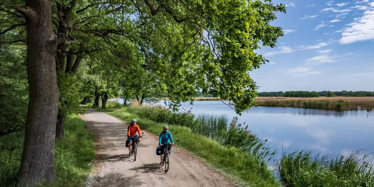 Dolina Baryczy: Trasy rowerowe dlaczego to rowerowy raj?