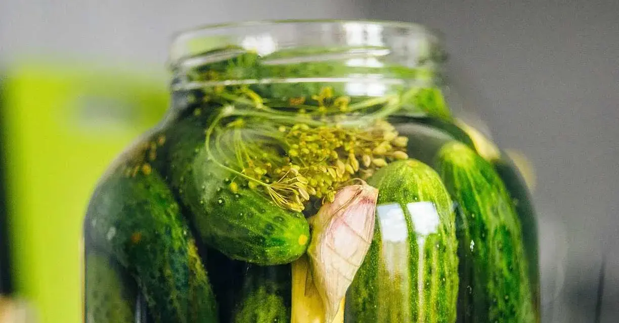 En burk med inlagda gurkor, dill och vitlök. Perfekt för ett gott saltgurka recept.