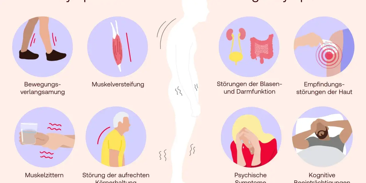 Die Grafik zeigt Leitsymptome wie verlangsamte Bewegung, Muskelsteifheit und Zittern, die auf eine Parkinson-Definition hinweisen. Begleitsymptome umfassen Blasen-/Darmstörungen, Hautempfindungsstörungen, psychische und kognitive Probleme.