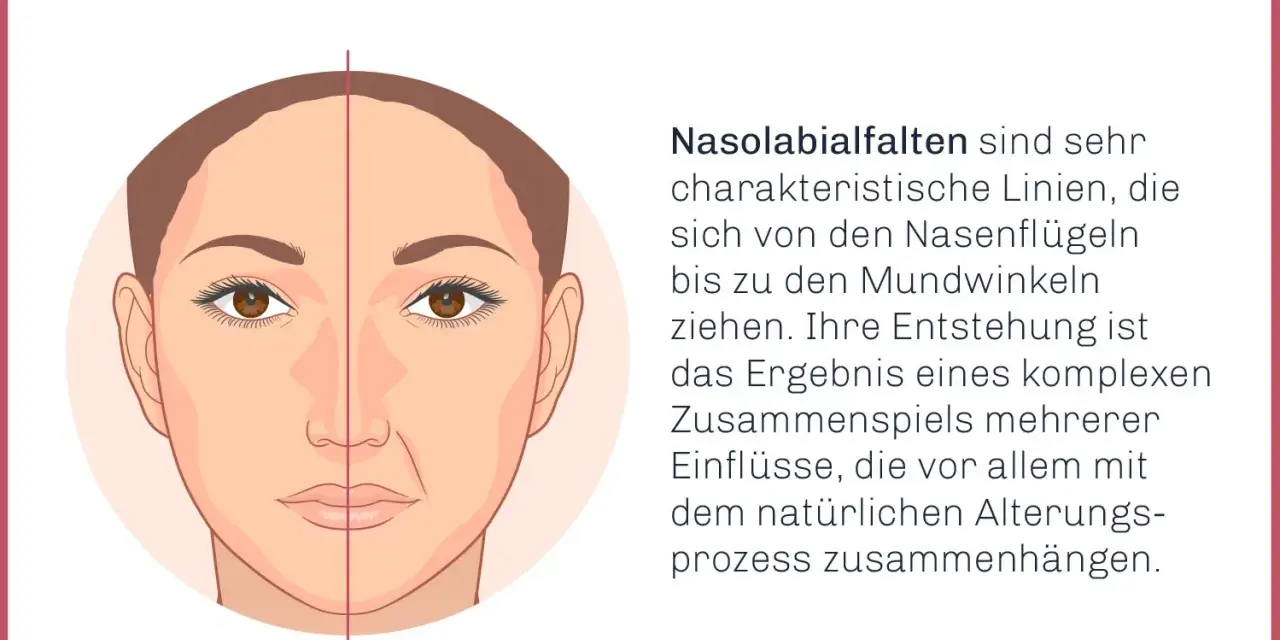 Gesichtshälfte mit und ohne sichtbare Nasolabialfalten. Die Falten verlaufen von den Nasenflügeln zu den Mundwinkeln und sind ein Zeichen des natürlichen Alterungsprozesses.