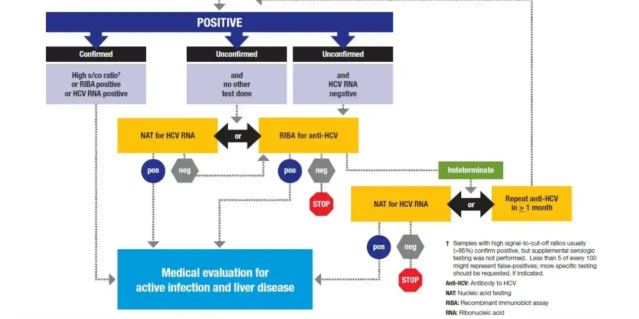 Schemat diagnostyki zakażenia HCV. Analizuje wyniki testów Anti-HCV, NAT, RIBA, by ocenić zapalenie wątroby typu C objawy.