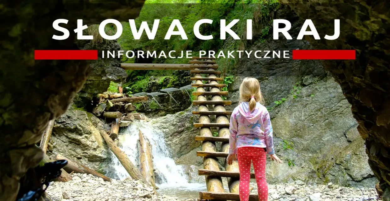 Dziewczynka przed drewnianą drabiną w wąwozie Słowacki Raj. Wodospad i kamieniste dno.