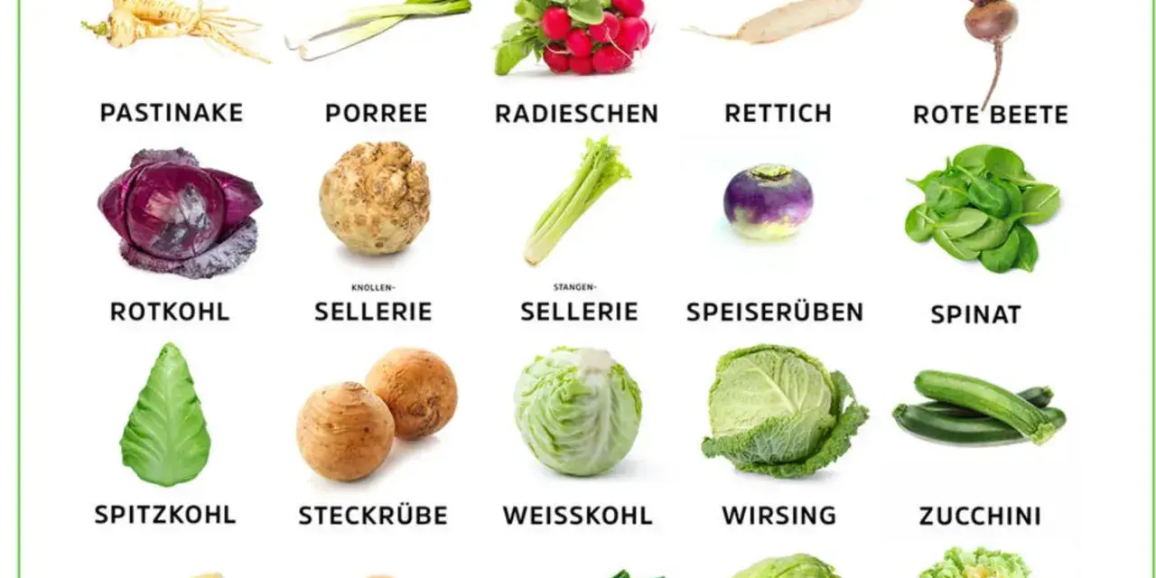 Gemüsevielfalt: Fenchel, Gurken, Kartoffeln, Kohlrabi, Möhren, Pastinake, Porree, Radieschen, Rettich, Rote Bete, Rotkohl, Sellerie, Speiserüben, Spinat, Spitzkohl, Steckrübe, Weißkohl, Wirsing, Zucchini, Zuckermais, Zwiebeln. Was kann man im August pf...
