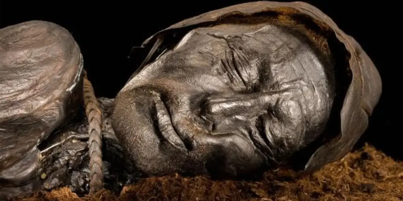 Visage d'une momie des tourbières, le corps préservé dans la tourbe, les traits du visage marqués par le temps.