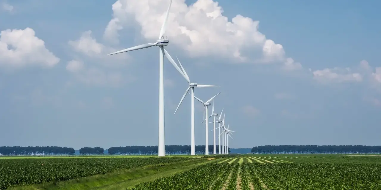Rząd białych turbin wiatrowych na tle błękitnego nieba z chmurami, nad zielonym polem kukurydzy. Efektywne cable pooling w akcji.