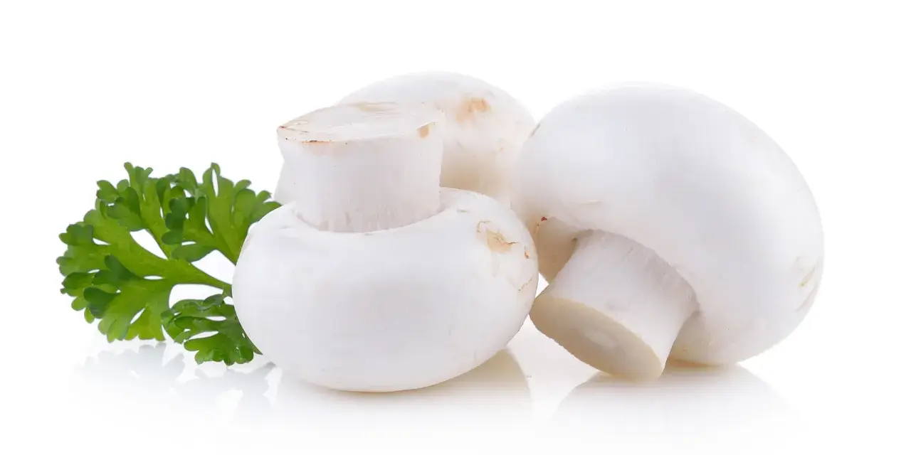 Ile kalorii ma pieczarka smażona? Sprawdź zaskakujące wartości!