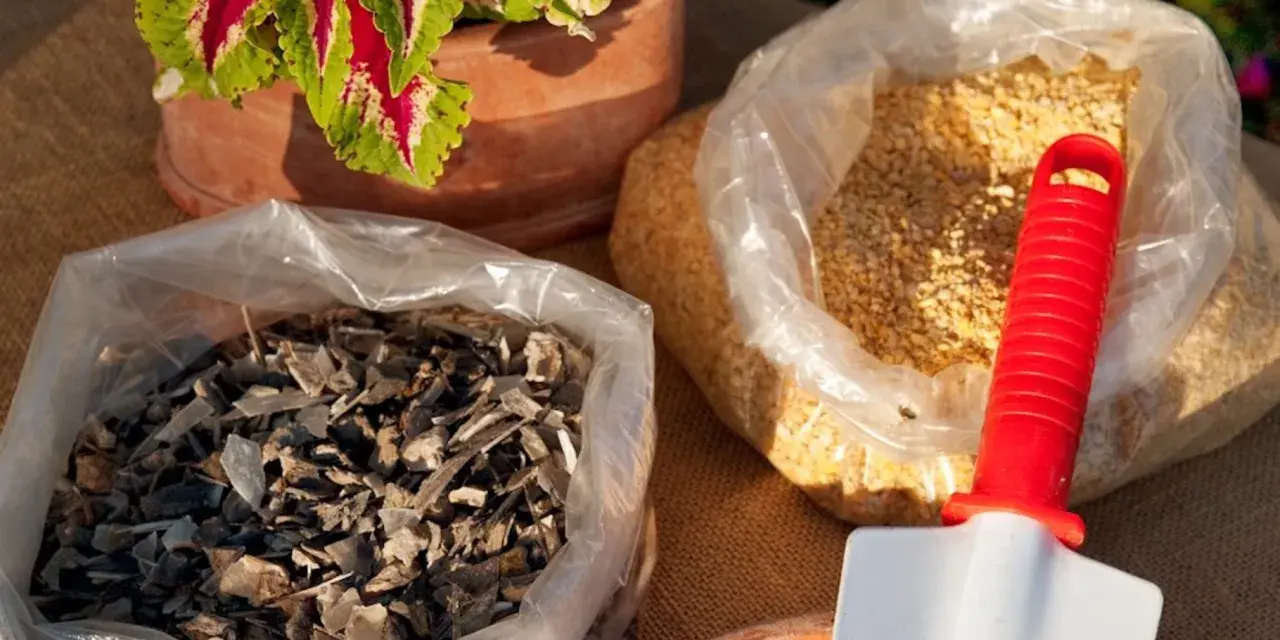 Due sacchi trasparenti contengono concime naturale per piante: uno con scaglie scure, l'altro con granuli gialli. Una paletta rossa e bianca è appoggiata su uno dei sacchi.