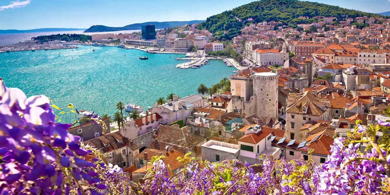 Widok na Split z kwitnącym glicynią. Turkusowe morze, białe budynki i zielone wzgórze tworzą malowniczą panoramę. Chorwacja atrakcje w pełnej krasie.