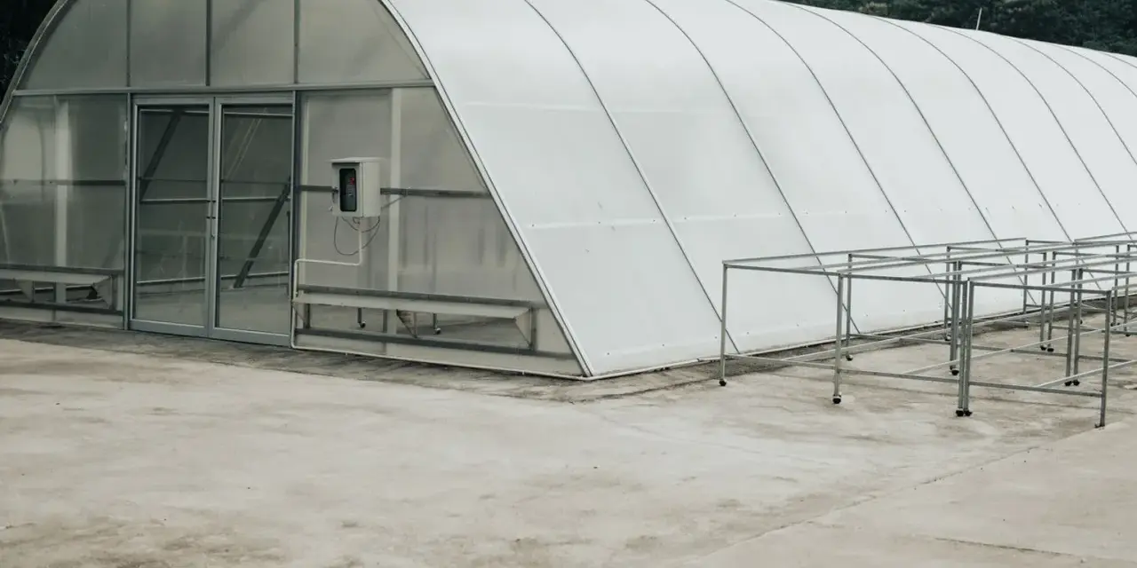 Zarobki z tunelu foliowego: Czy to się opłaca? Sprawdź kalkulacje.
