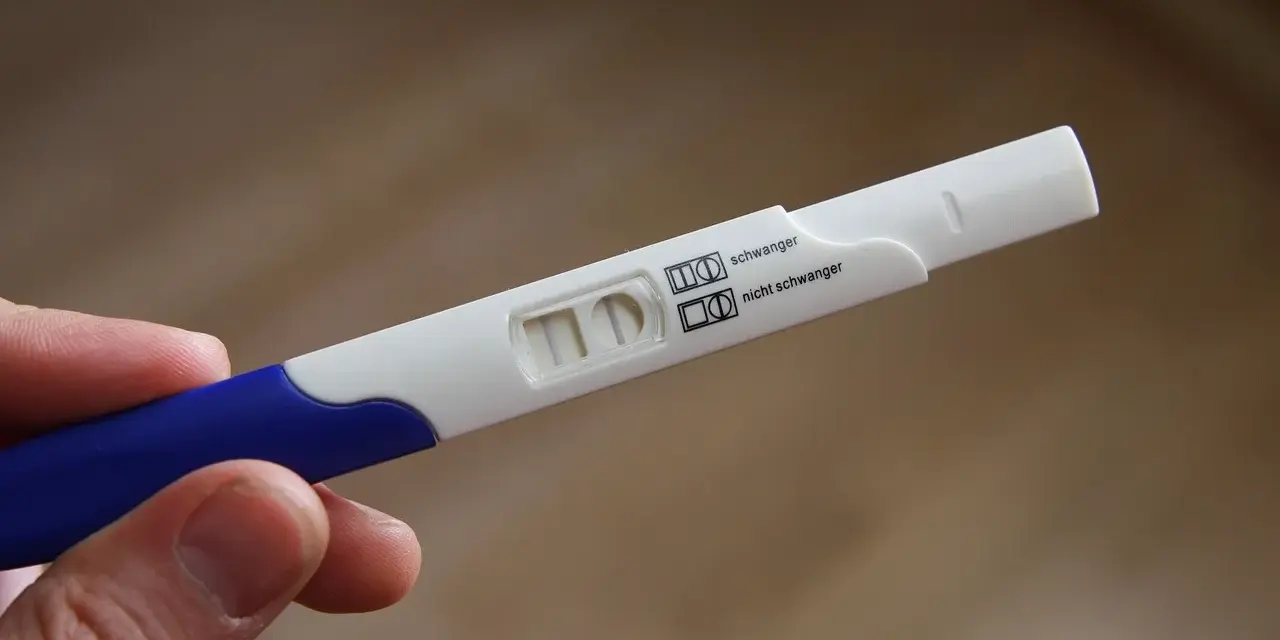 Test ciążowy wykrywający 3 dniową ciążę. Dwie kreski oznaczają pozytywny wynik.