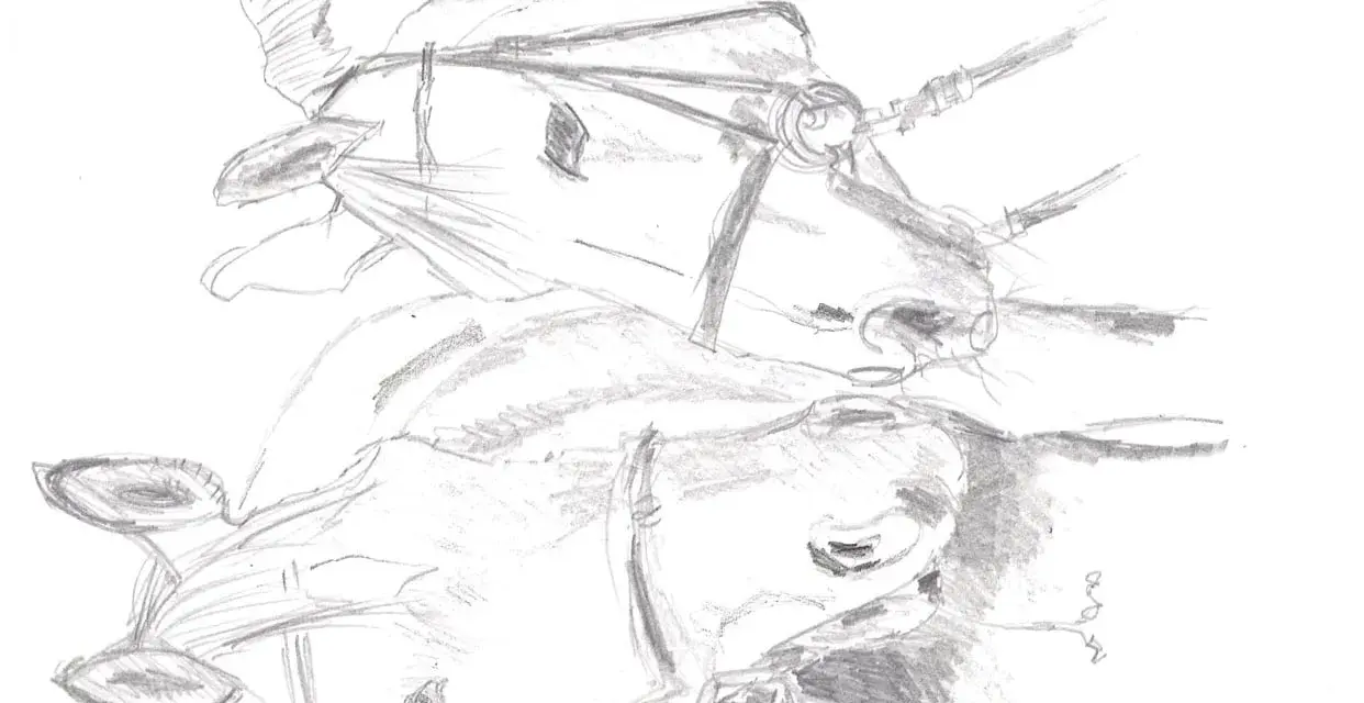 Boceto a lápiz de dos caballos con bridas, mostrando diversas técnicas de dibujo a lápiz para capturar sus formas y texturas.