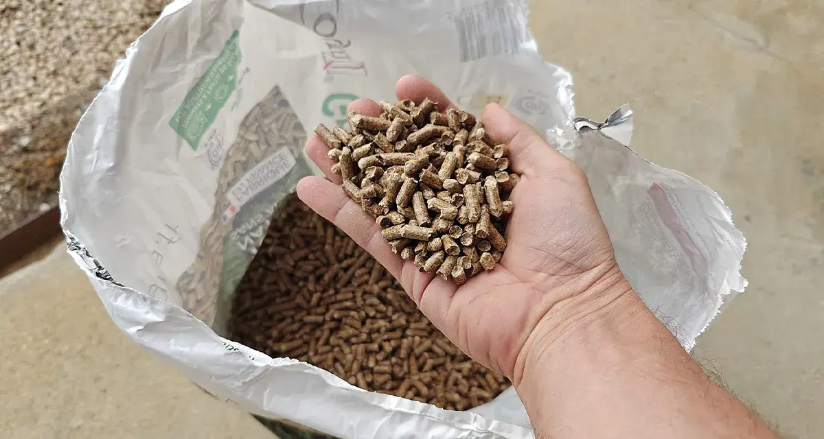 Main d'homme tenant des granulés de bois, pour estimer la consommation pellet par jour. Sac ouvert en arrière-plan.