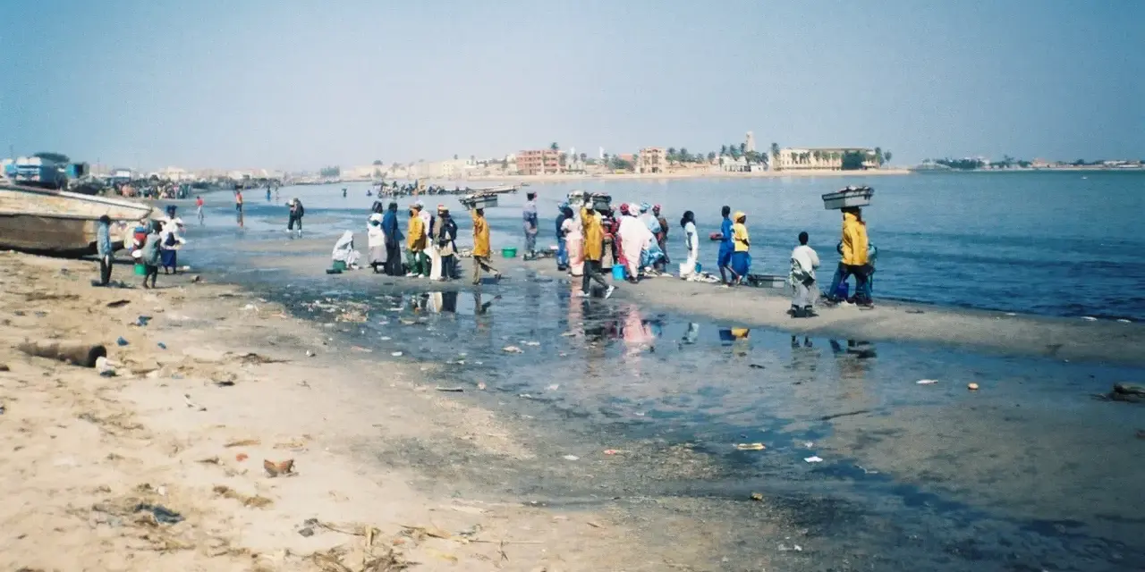 Ludzie na brzegu rzeki Senegal, niektórzy niosą towary na głowach. W tle widać zabudowania.