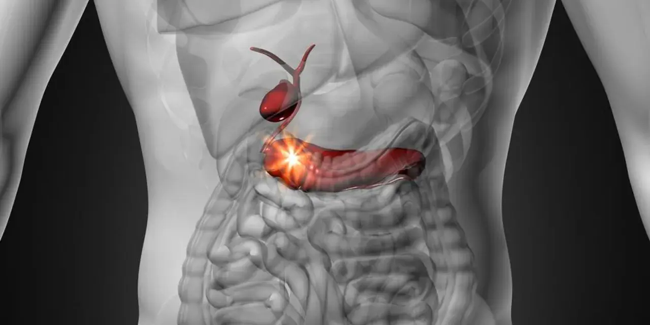 Anatomical illustration of a human torso showing a red gallbladder and pancreas with a bright light emanating from the pancreas.