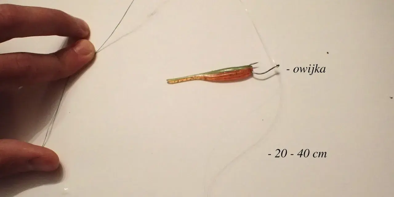 Demonstracja wiązania fluorocarbonu z plecionką metodą "alberto knot". Zestaw z gumową przynętą i ołowiem.