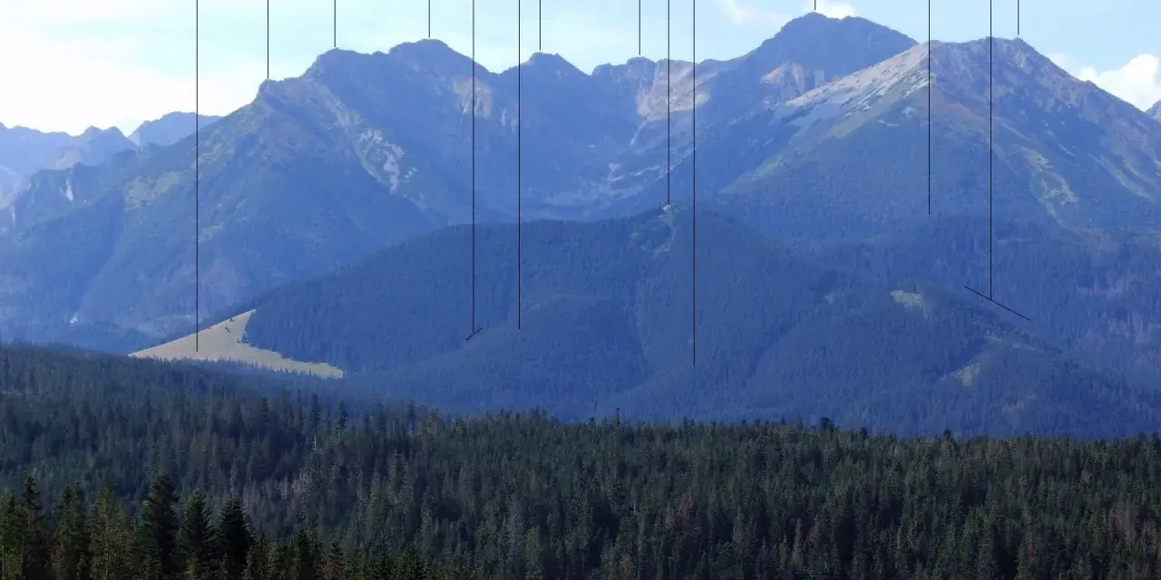 Widok na Tatry z zaznaczonymi szczytami, w tym Gęsia Szyja. W dole las, wyżej zbocza górskie.