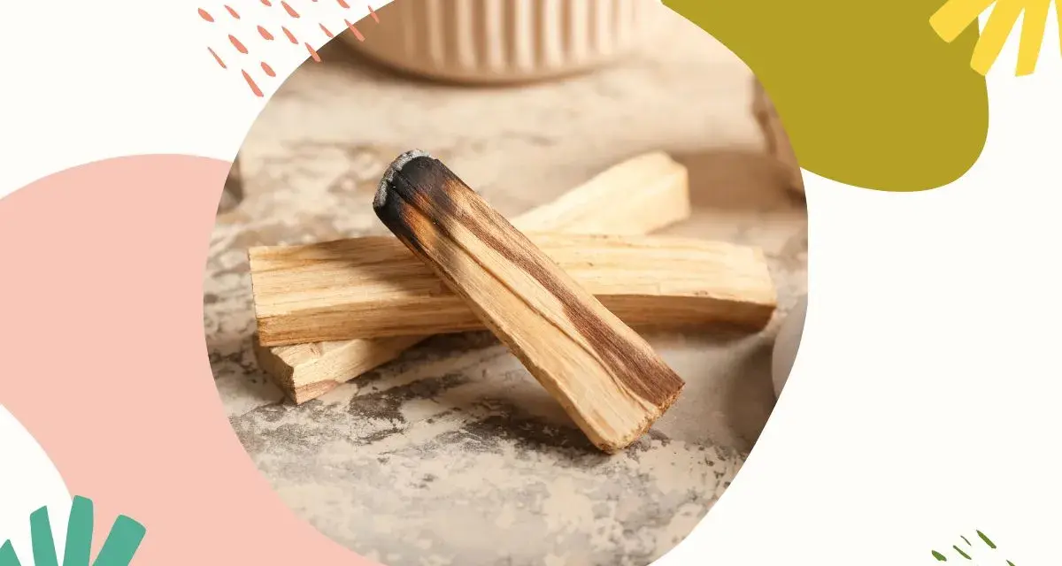 Drewno palo santo, znane z właściwości oczyszczających i relaksujących, leży na kamiennym blacie.