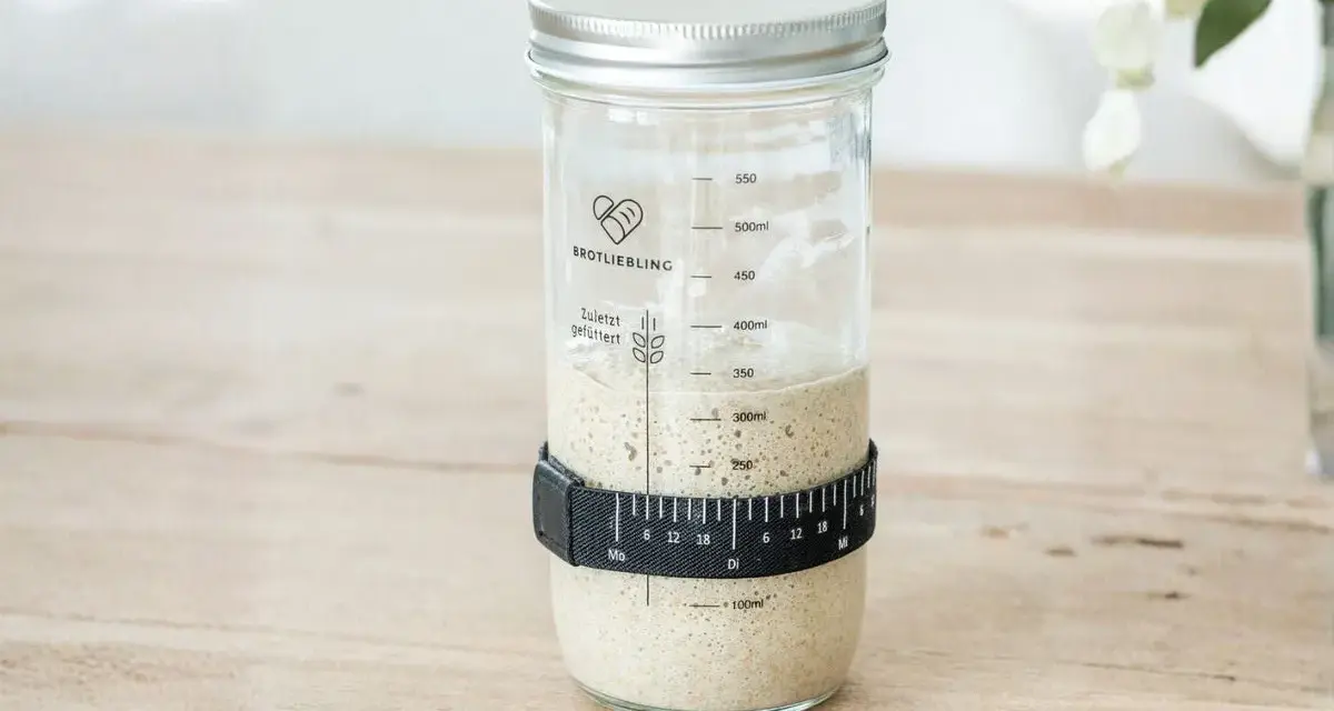 Ein Glas mit lebendigem Sauerteig, bereit für den nächsten Brotteig. Der "Sauerteig Fusel" zeigt Bläschen und ist mit einer Messband-Manschette versehen.