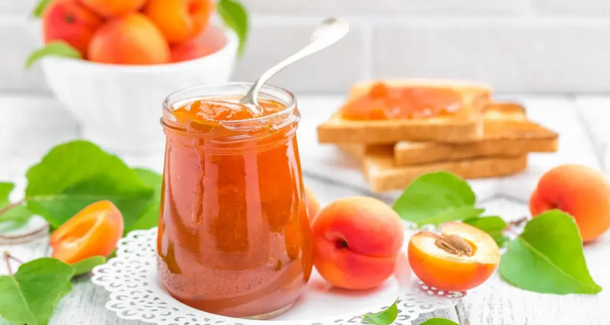 Tarro de mermelada de albaricoque casera, con tostadas y albaricoques frescos alrededor.