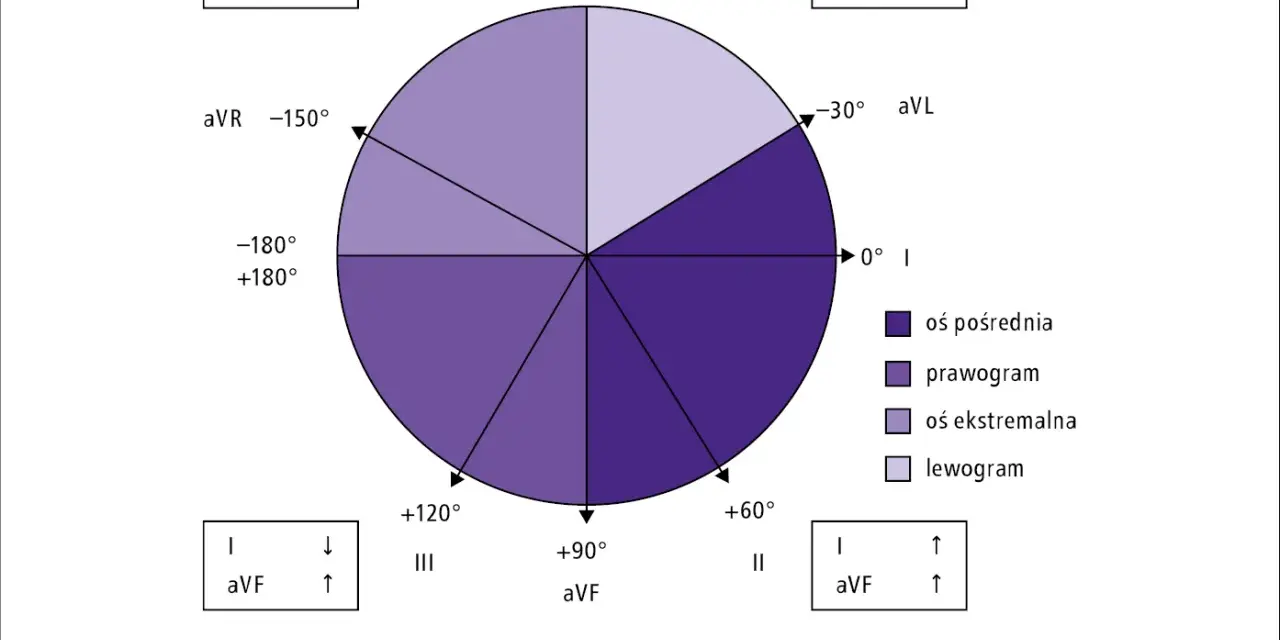 Diagram osi elektrycznej serca, kluczowy do zrozumienia, jak odczytać wynik EKG. Pokazuje rozmieszczenie odprowadzeń i ich kąty.