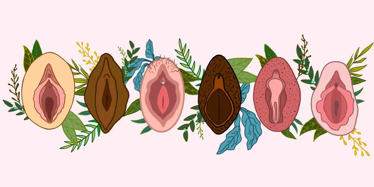 Ilustracja przedstawia siedem różnych warg sromowych, otoczonych liśćmi i gałązkami. Wargi sromowe są w różnych odcieniach skóry i kształtach, symbolizując różnorodność. Niektóre mają delikatne włoski, inne są gładkie. Wizerunki te podkreślają naturaln...