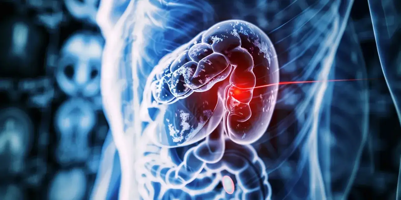 Anatomical illustration of a magnified spleen with a red highlight, suggesting a problem. Learn what to eat with an enlarged spleen.