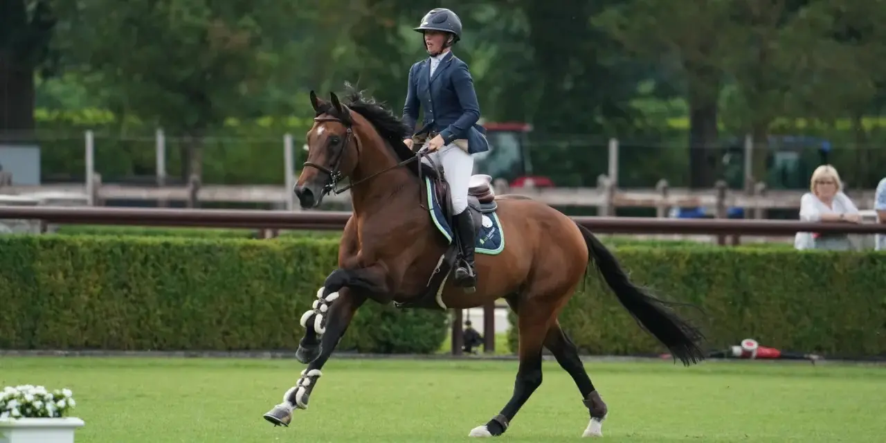 Cavalier et cheval brun en plein saut, con quidam rb.