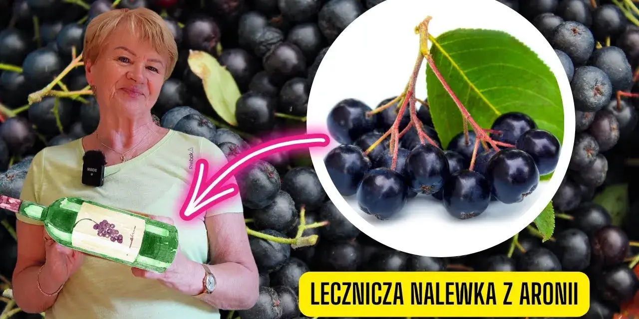 Nalewka z aronii: na co pomaga? Właściwości i dawkowanie