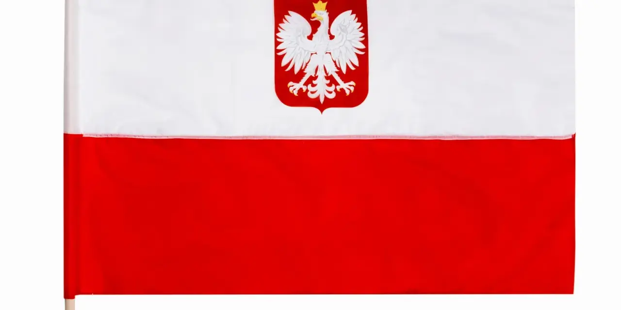 Flaga Polski z orłem w koronie na białym tle. Duma narodowa na drewnianym kiju.