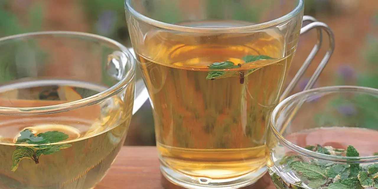 Tres tazas de cristal con infusiones de hierbas, algunas con hojas de menta flotando. Perfectas infusiones antiinflamatorias para un momento de relax.