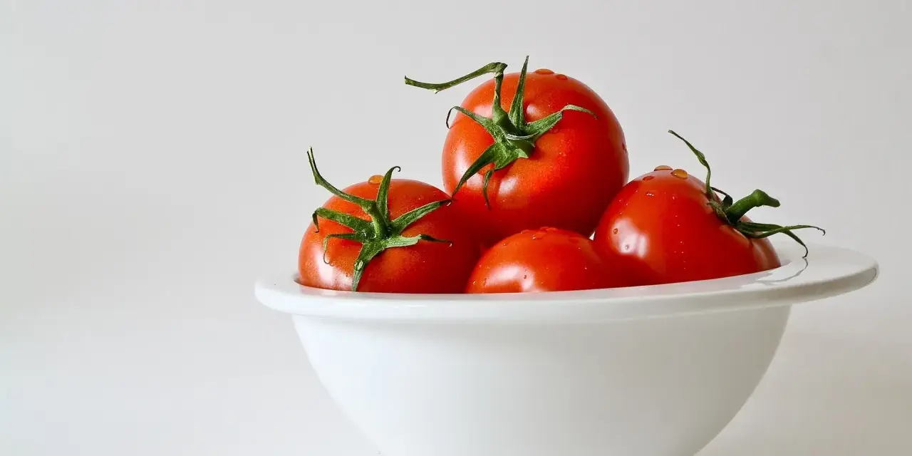 Kilka soczystych pomidorów w białej misce. Niska zawartość pomidor kcal sprawia, że są idealne na zdrową przekąskę.