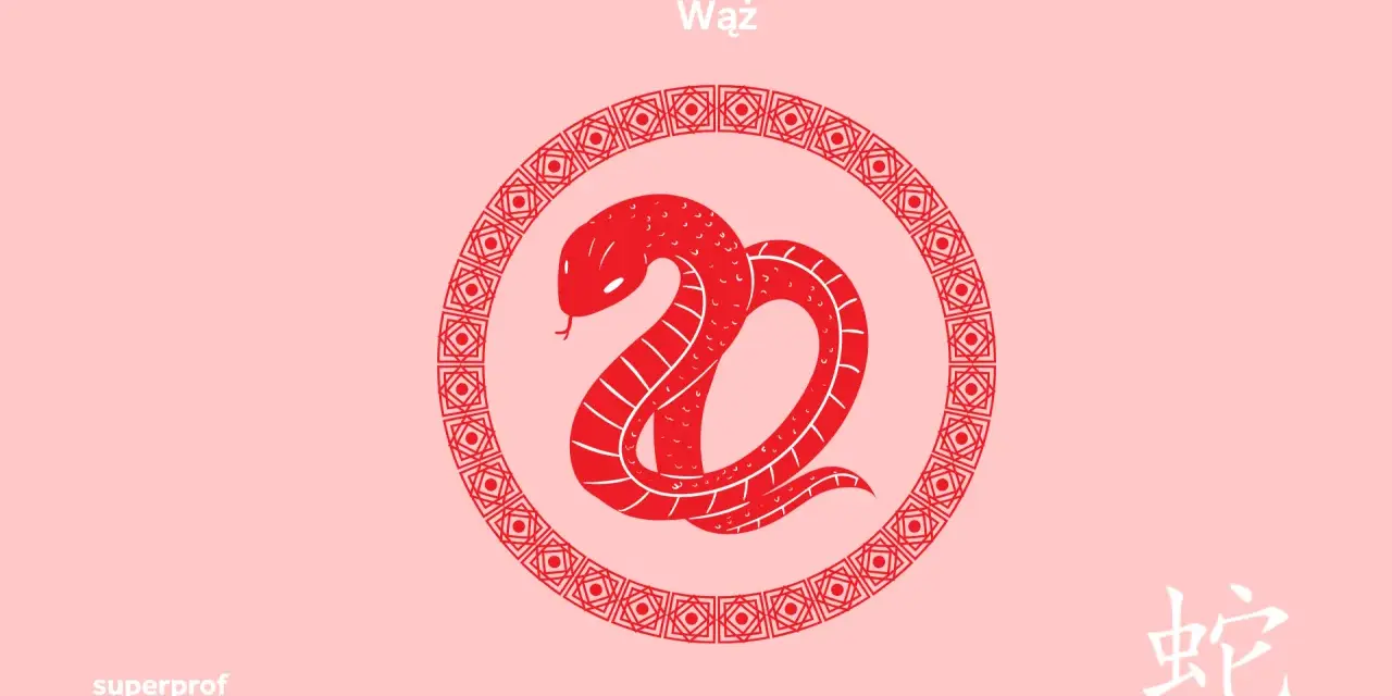 Czerwony wąż w okręgu z chińskimi wzorami, symbol zodiaku chińskiego. Obok znak chiński oznaczający węża.