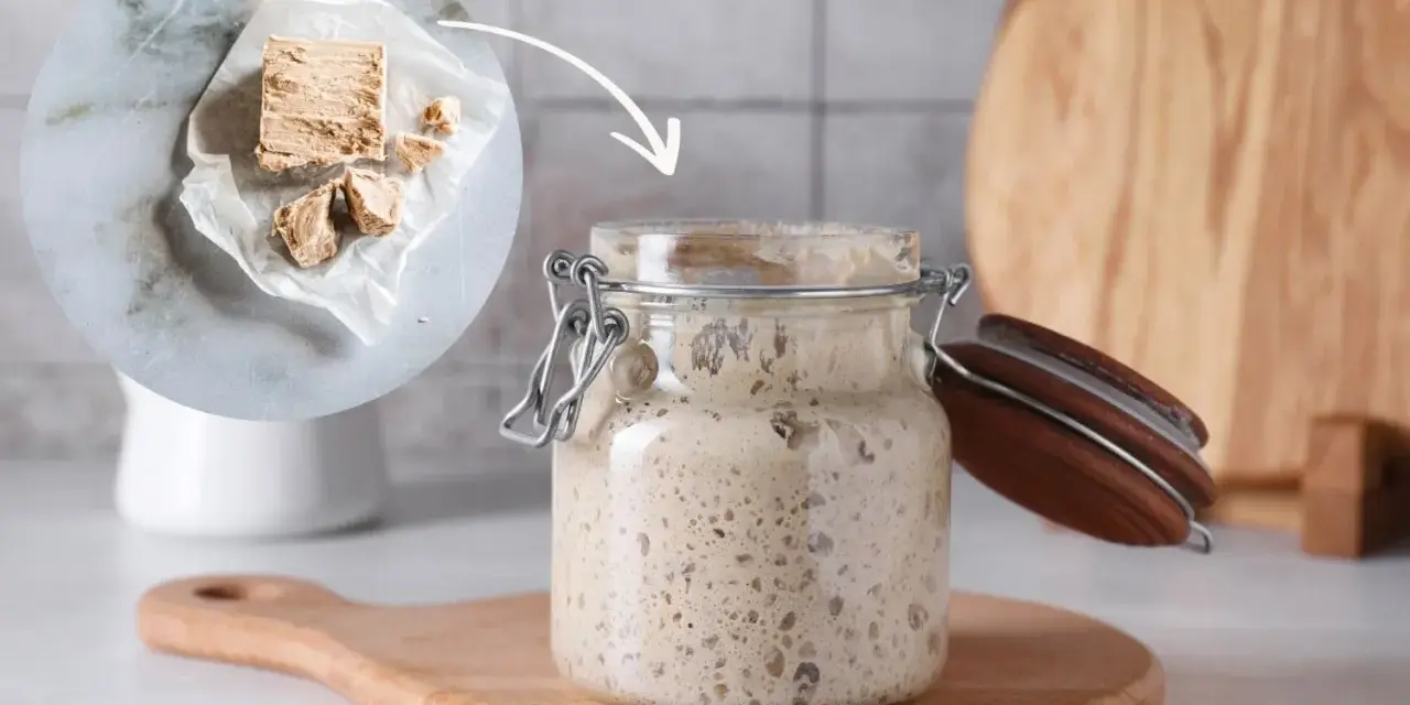 Ein Glas mit blubberndem Sauerteig, daneben frische Hefe. Die Frage: wie lange muss sauerteig gehen?