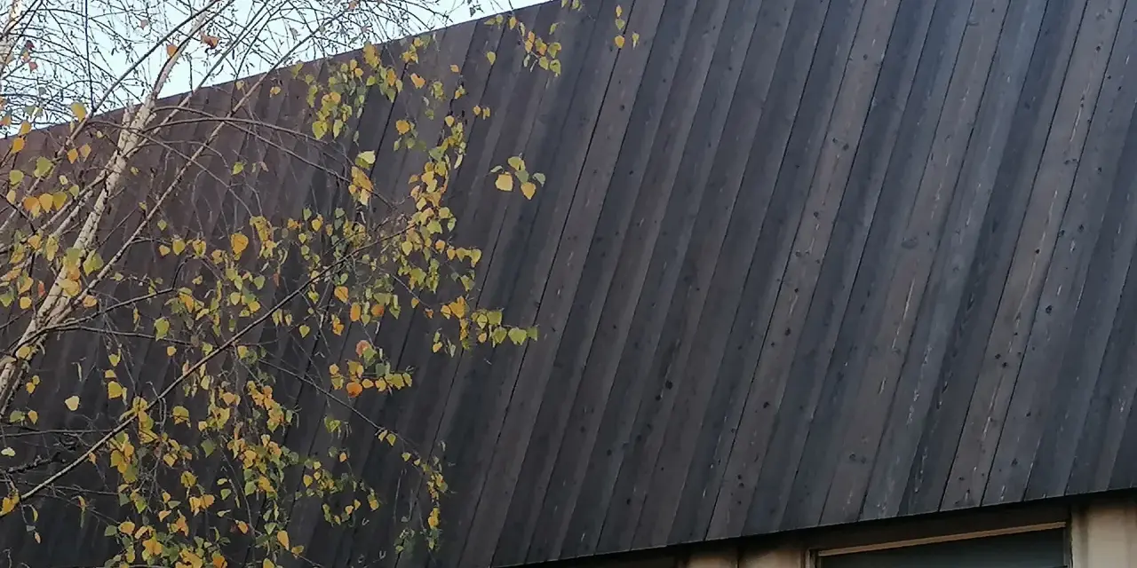 Un muro inclinato di legno bruciato giapponese, con rami spogli e foglie gialle che si stagliano contro il cielo.