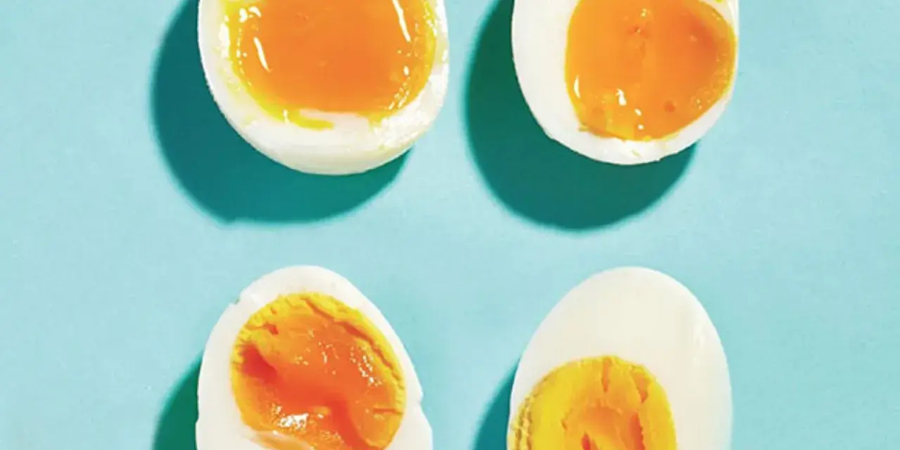 Quatre moitiés d'oeuf à la coque sur fond bleu. Deux ont un jaune coulant, les autres un jaune plus ferme.