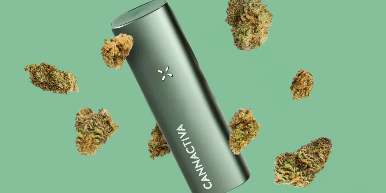Vaporizador verde con cogollos de cannabis flotando. ¿Cuánto vapear al día?