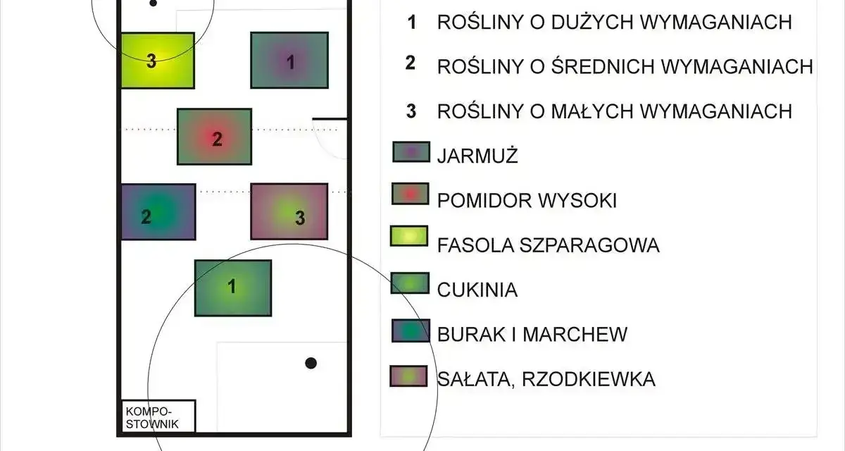 Schemat płodozmianu. Fasolka szparagowa (3) dobrze rośnie obok pomidorów (2) i roślin o małych wymaganiach.