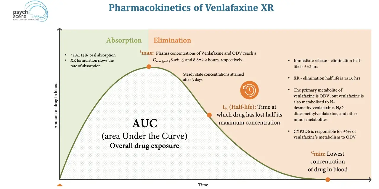 Wykres farmakokinetyki **efectin** XR: wchłanianie, eliminacja, AUC, tmax, t½ i Cmin.