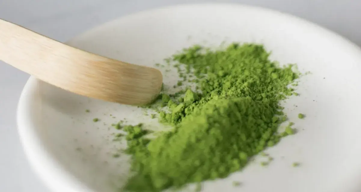 Zielony proszek matcha na białej miseczce z bambusową łopatką.