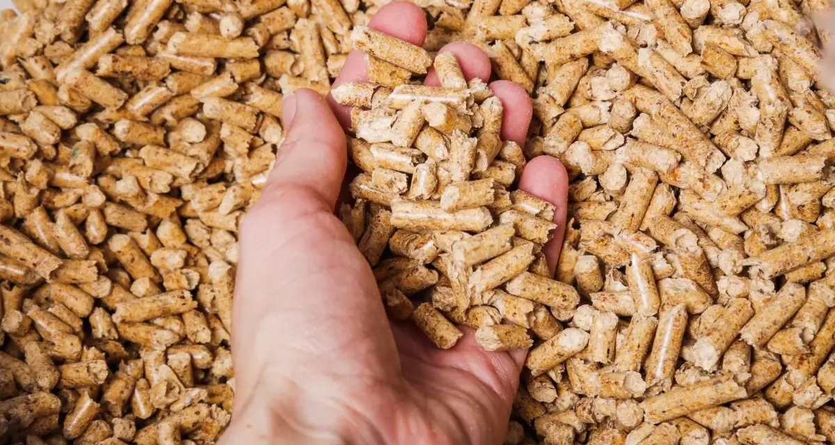 Mano che afferra pellet di legno. Un sacco di pellet di legno ha un peso variabile, ma solitamente si aggira sui 15 kg.