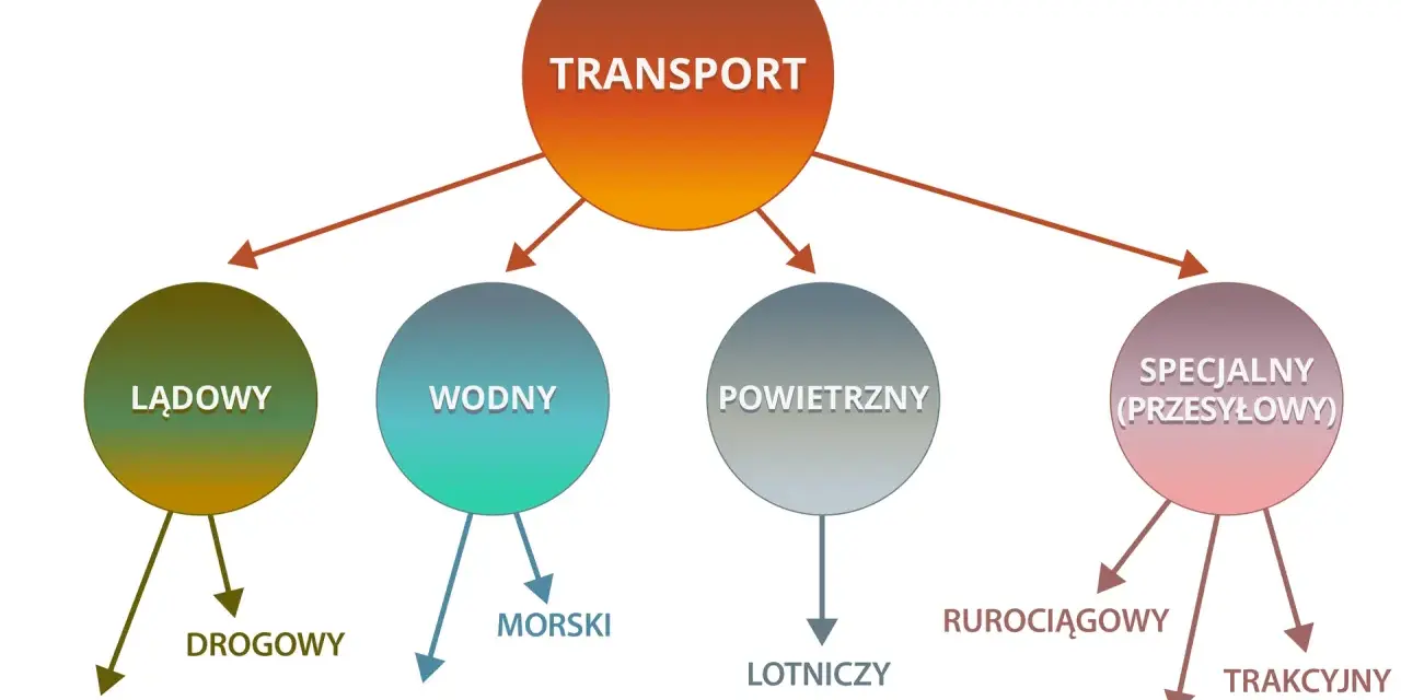 Czym jest spedycja? Kluczowe zadania i rodzaje transportu